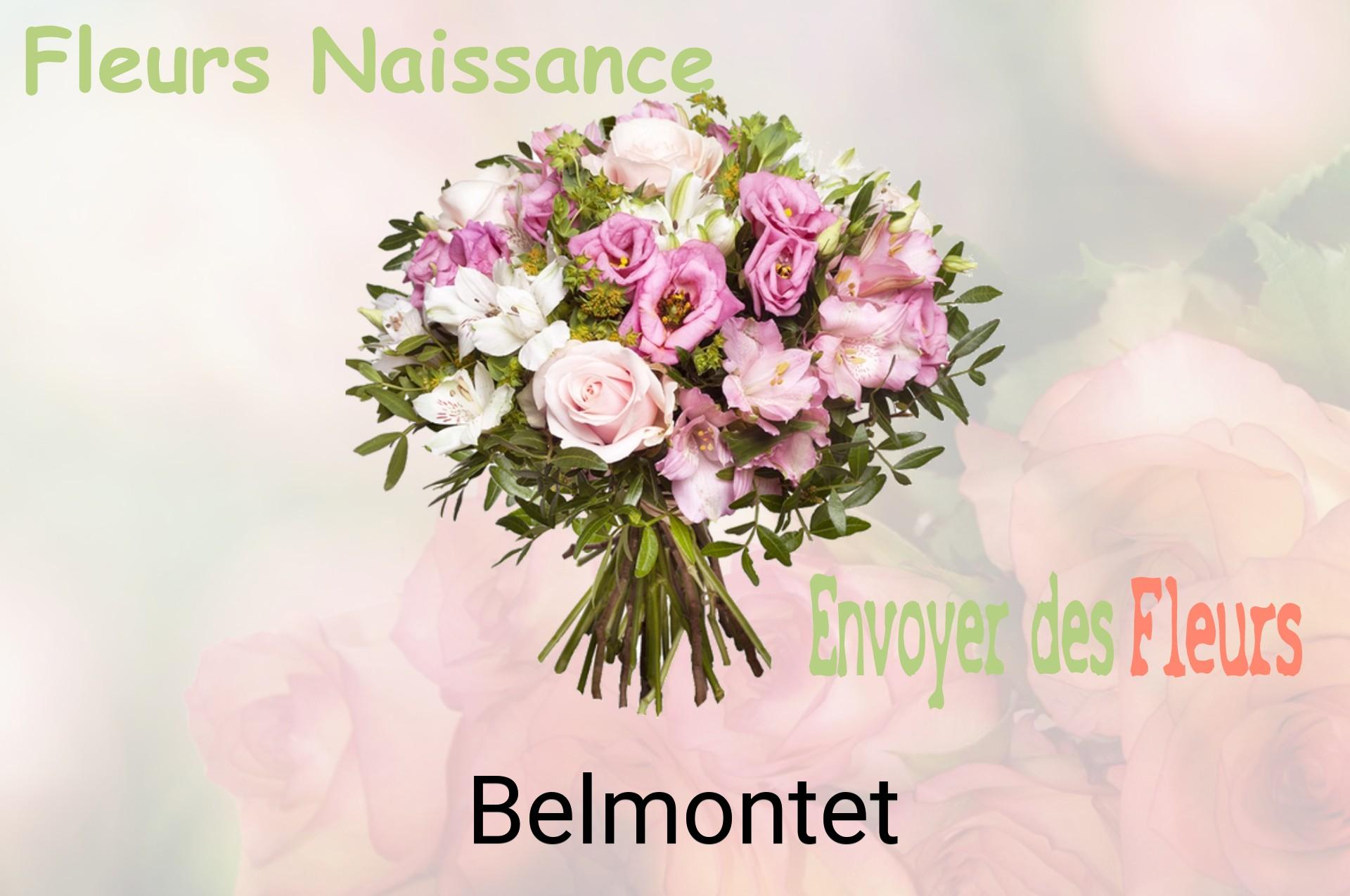 Bouquet de fleurs de naissance livré à Belmontet